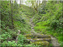 SE1125 : Path in a ravine, Southowram by Humphrey Bolton