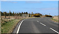 The B786 road