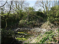 Disused quarry at Whitsome