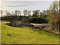 Mill Green Control Sluice