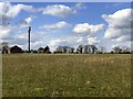 Phone mast by the path to Whaddon