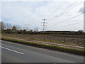 Field and pylons off West Lane