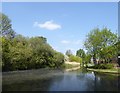 Canal alongside Tump 53, Thamesmead