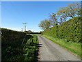 National Cycle Route 1 towards Nafferton