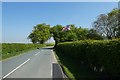 Flag at Tileshed Farm Cottage