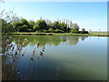 Pond near Cleaves Farm