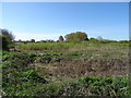 Skerne Wetlands