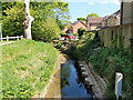 Stream upstream of Maidenbower Drive