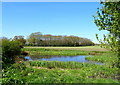 Pond towards High Stonehills Farm