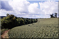 Walking the Test Way, north of Wherwell