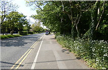 SK5506 : National Cycle Route 63 along Groby Road, Leicester by Mat Fascione