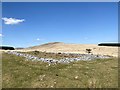 SN9015 : Sheep enclosure by Alan Hughes
