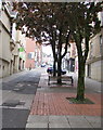 Charles Street trees, Newport city centre