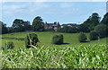 Farmland at Copthorne