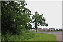 TF1014 : North Meadow Road at the junction of Deeping Road by David Howard