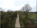 The Way for the Millennium Cycle Path towards Newport