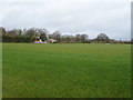 Grassland, Coton Clanford