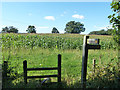 Footpath corner by Lower Barn