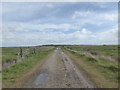 Track across Uplees Marshes