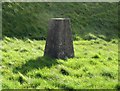 Broughton Hill triangulation pillar