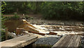 Weir and salmon ladder, River Dart