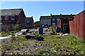 Community Garden, Abbeyview