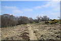 Path at the south of Grandhome Moss