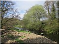 Downstream view, River Nethan