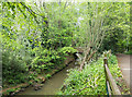 Gatwick Stream, Maidenbower, Crawley