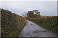 Lane south of East Gortleigh