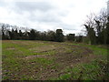 Field near Tunstall Croft