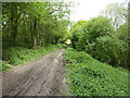 Part of the Shropshire Way above Walcot