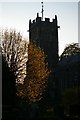 TM3865 : Evening light, Kelsale churchyard by Christopher Hilton