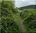 Public footpath at the Blaby Industrial Park