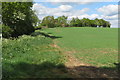 Footpath up to Grange Farm