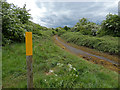 Overgrown and disused Kirk Lane in Enderby