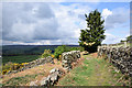 Dry stone walling bounding lane