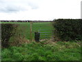 Bridleway towards Flashbrook Manor