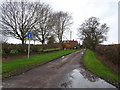 Track (footpath) to Thorneypits