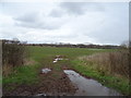 Muddy field entrance, Park Heath