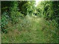 SU5741 : Bridleway / farm track - Woodmancott Down by Mr Ignavy