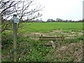 A walk around Bulkington [54]