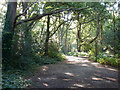 Path, East Sheen Common