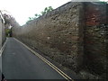 Ludlow Town Walls