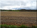 Stubble field, Pickstock