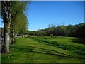 Cloberfield Open Space