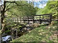 Footbridge over Nant Pedol