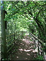 Footpath alongside M5 Motorway