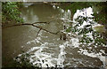 River Wey near Garner