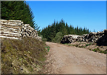 NX3599 : Timber stacks on Garleffin Road by Mary and Angus Hogg